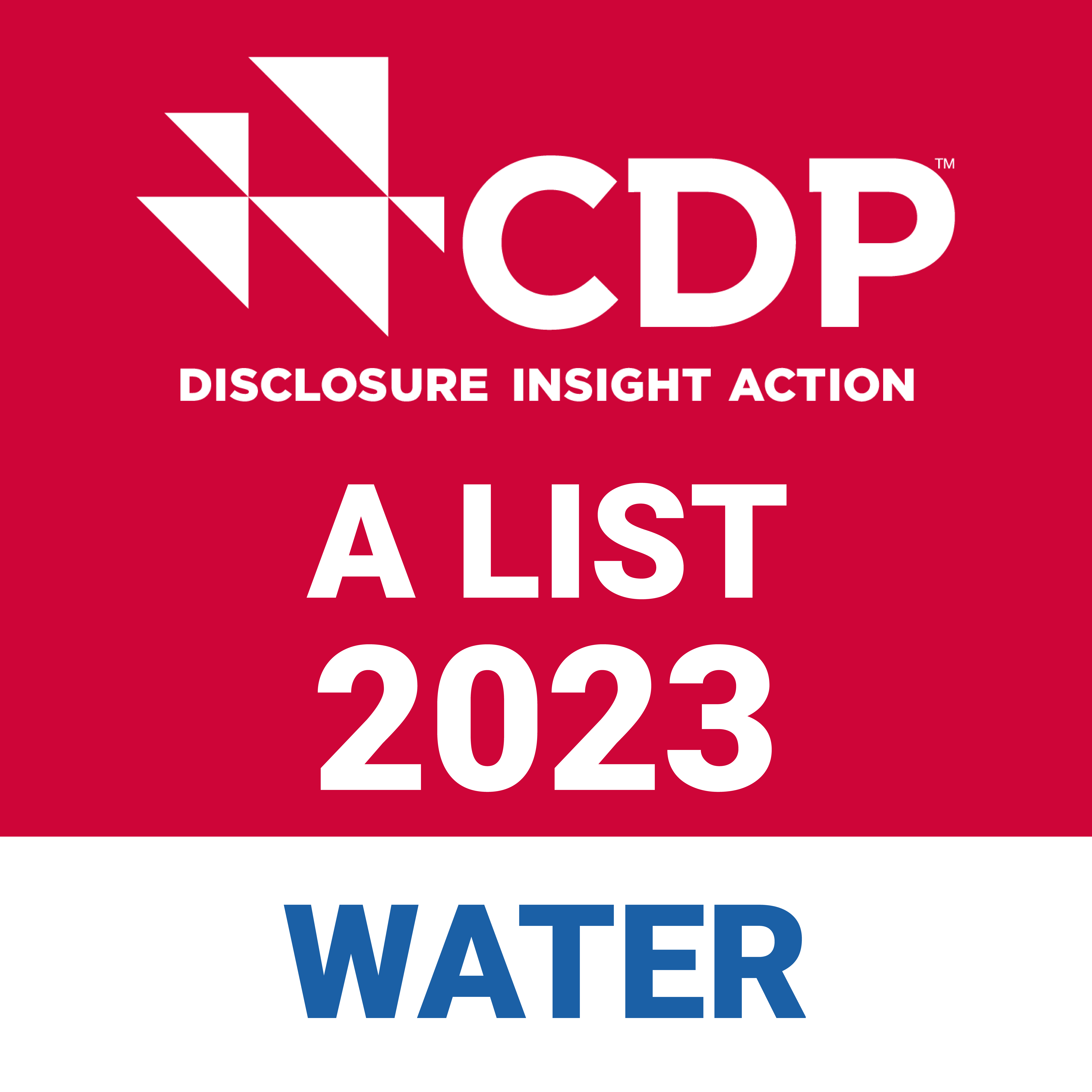 CDP A List 2023